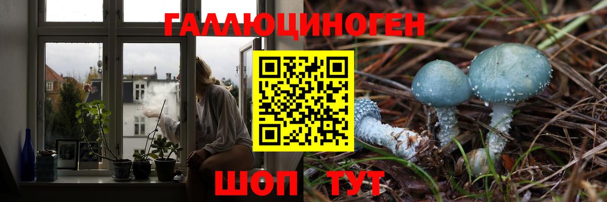 Артём  закладки  Вход с VPN  Псилоцибиновые грибы Psilocybe 